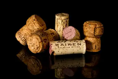 Angel Nin - Video and Photography